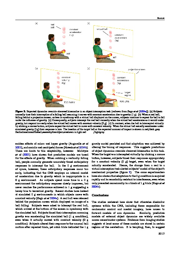 Download Widespread access to predictive models in the motor system: a short review.